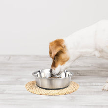 Heavy Duty Stainless Steel Dog Bowl Set Dog Food Dish - Rust Resistant, Food Grade, Non-Slip, Quiet and Stable for Cats and Dogs, Suitable for Dry and Wet Foods, Grey (0.5 litre Each, Set of 2)